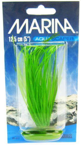 Marina Hairgrass Plant - 080605105119