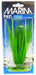 Marina Hairgrass Plant - 080605108110