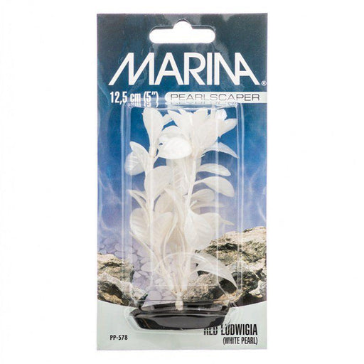 Marina Pearlscaper Ludwigia Plant - White Pearl - 080605105782