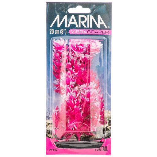 Marina Vibrascaper Foxtail Plant - Hot Pink & White - 080605108400