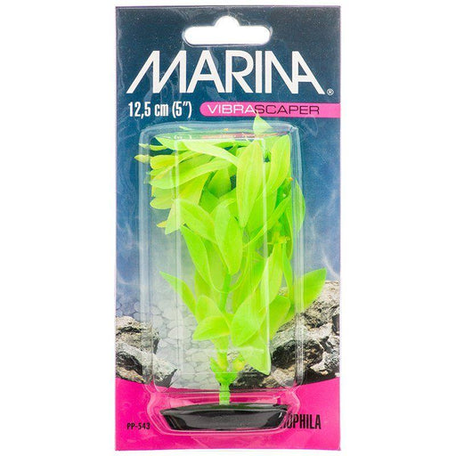 Marina Vibrascaper Hygrophilia Plant - Green DayGlo - 080605105430
