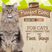 Merrick Purrfect Bistro Grain Free Wet Cat Food Turkey Recipe Pate - 022808382607