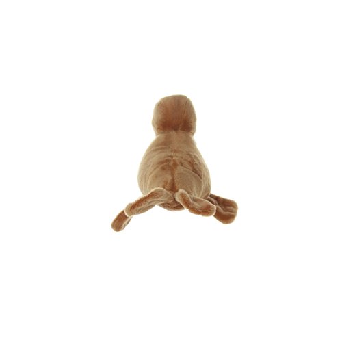 Mighty Junior Arctic Walrus Dog Toy - 180181905049