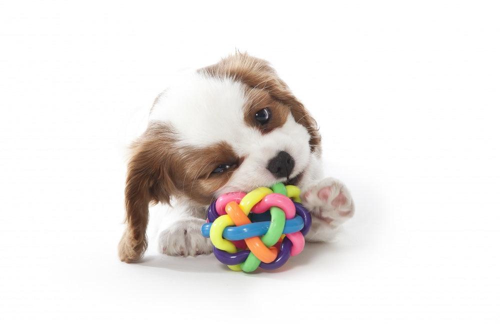 MultiPet Nobbly Wobbly 4inch Dog Toy - 784369510201