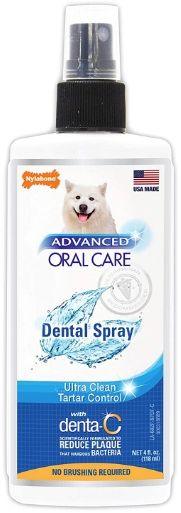 Nylabone Advanced Oral Care Dental Spray - 018214828075