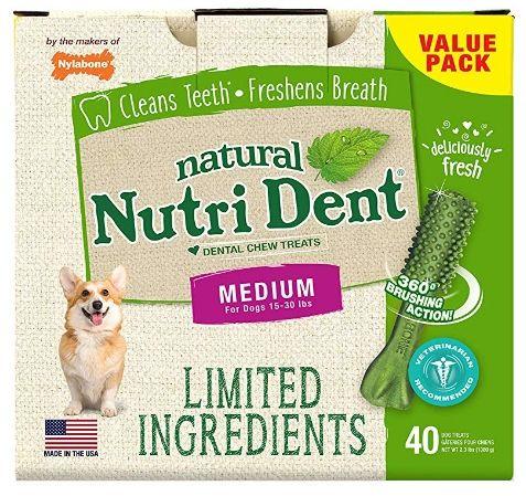 Nylabone Natural Nutri Dent Fresh Breath Dental Chews - Limited Ingredients - 018214842729