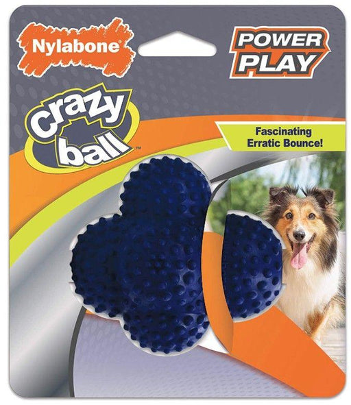 Nylabone Power Play Crazy Ball Dog Toy Large - 018214848790