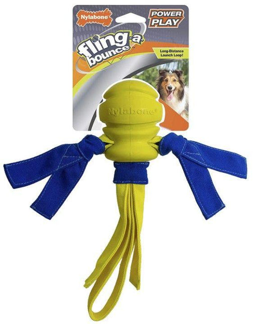 Nylabone Power Play Fling- a-Bounce Fetch 10" Dog Toy - 018214848721