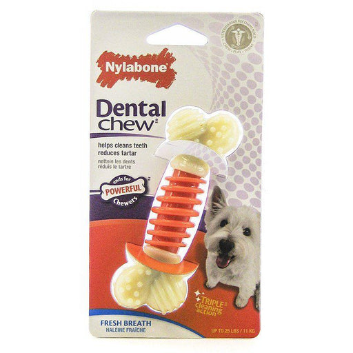 Nylabone Pro Action Dental Chew - Fresh Breath - 018214822806
