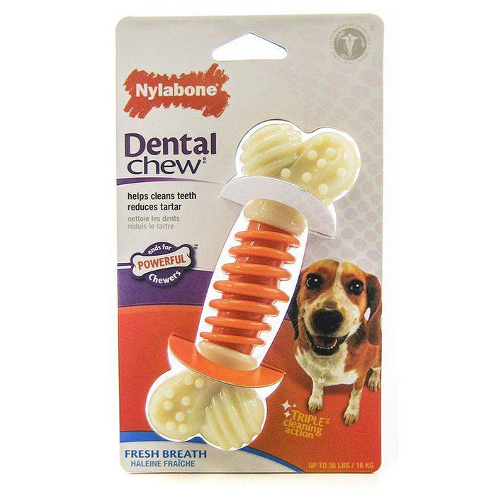 Nylabone Pro Action Dental Chew - Fresh Breath - 018214822813