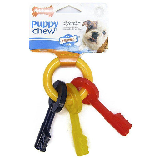 Nylabone Puppy Chew Teething Keys Chew Toy - 018214814856
