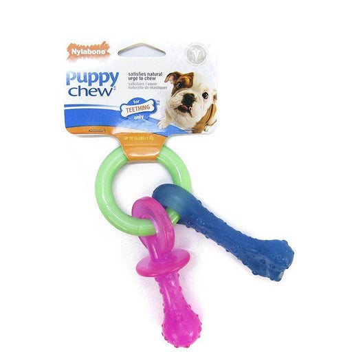 Nylabone Puppy Chew Teething Pacifier - 018214820871