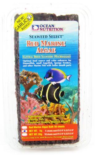 Ocean Nutrition Red Marine Algae - 098731250009
