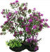 Penn Plax Bonsai Plant 7-8" Purple - 030172098727
