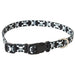 Pet Attire Styles Skulls Adjustable Dog Collar - 076484397035