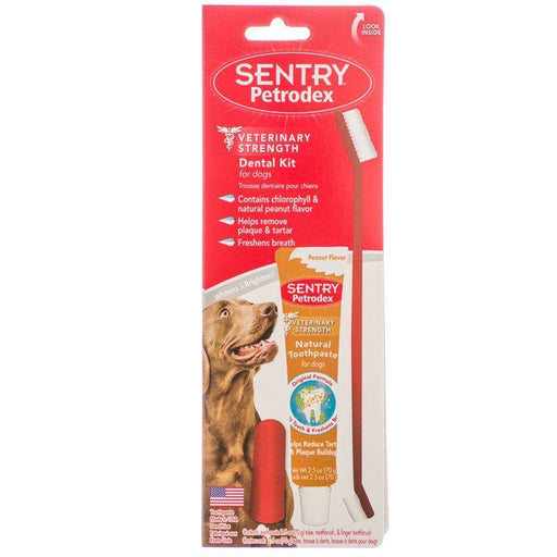 Petrodex Dental Kit for Dogs - Peanut Butter Flavor - 048476225435