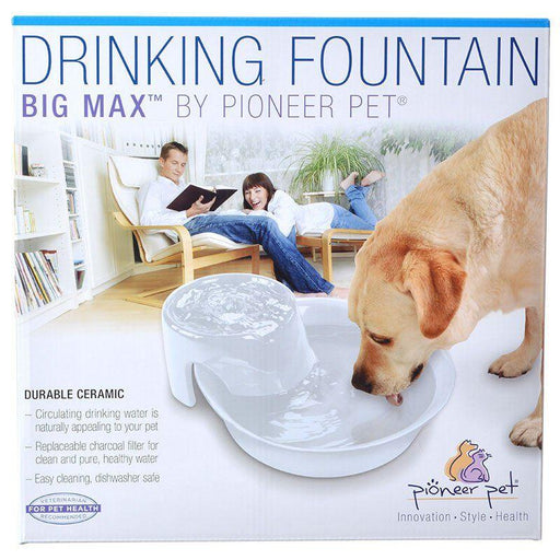 Pioneer Big Max Ceramic Drinking Fountain - White - 898142002354