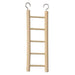 Prevue Birdie Basics Ladder - 048081003831
