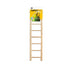 Prevue Birdie Basics Ladder - 048081003848