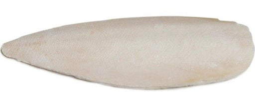 Prevue Cuttlebone Birdie Basics Small 4" Long - 048081011485