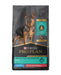 Pro Plan Sensitive Skin & Stomach Salmon & Rice Large Breed Probiotic Dry Puppy Food - 038100190543