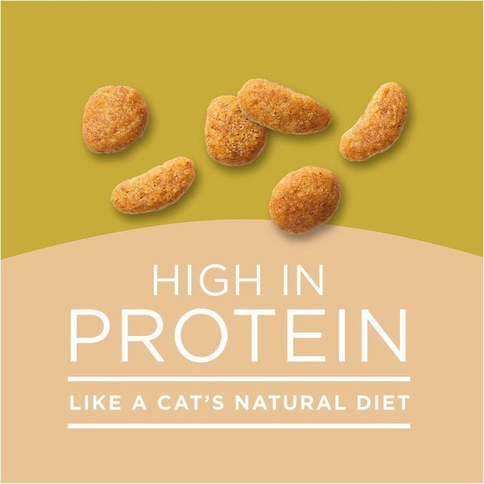 Purina Cat Chow Naturals Original Dry Cat Food - 017800145008