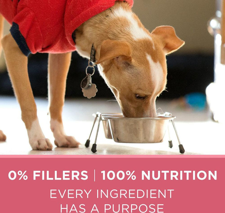 Purina ONE +Plus Skin & Coat Formula Dry Dog Food - 017800149266