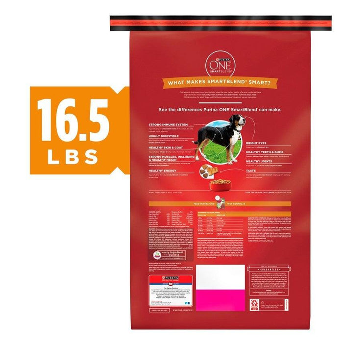 Purina ONE SmartBlend Chicken & Rice Dry Dog Food - 017800149372