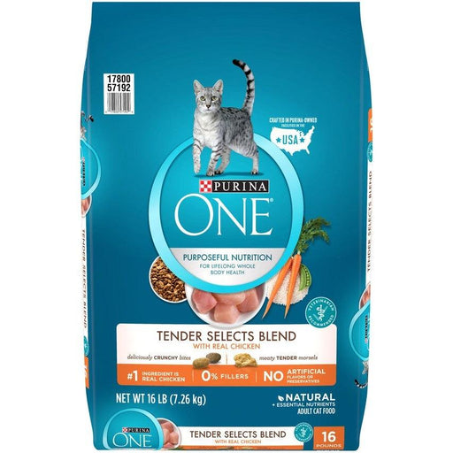 Purina ONE Tender Selects Blend Real Chicken Dry Cat Food - 017800571920
