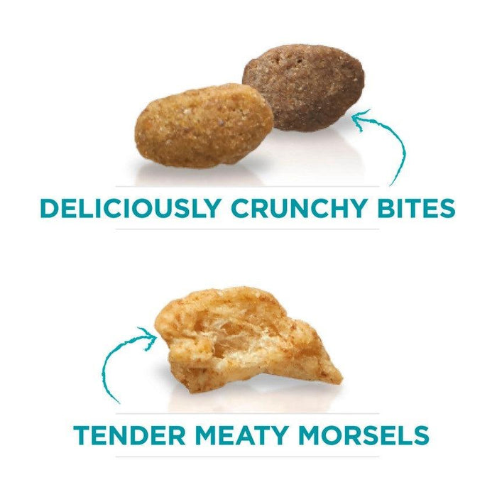 Purina ONE Tender Selects Blend Real Chicken Dry Cat Food - 017800571920