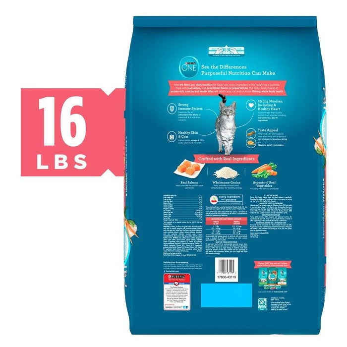 Purina ONE Tender Selects Blend Real Salmon Dry Cat Food - 017800431194