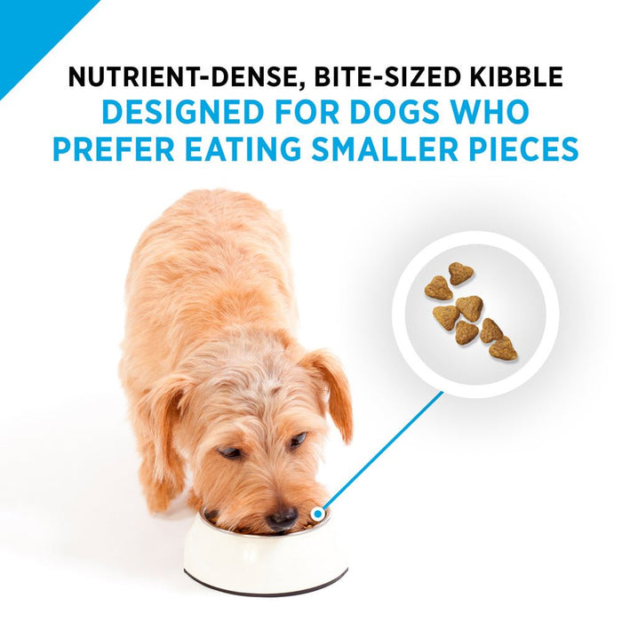 Purina Pro Plan All Life Stages Small Bites 27/17 Lamb & Rice Dry Dog Food - 038100143402