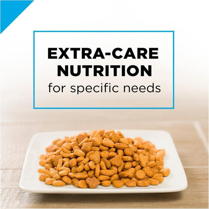 Purina Pro Plan Focus Adult Sensitive Skin & Stomach Lamb & Rice Formula Dry Cat Food - 038100144829