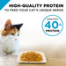 Purina Pro Plan Focus Adult Sensitive Skin & Stomach Lamb & Rice Formula Dry Cat Food - 038100144829