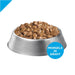 Purina Pro Plan Focus Adult Weight Management Turkey & Rice Entree Canned Dog Food - 00038100027641