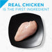 Purina Pro Plan Focus Grain-Free Classic Chicken Entree Wet Puppy Food - 00038100181763