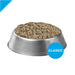 Purina Pro Plan Focus Sensitive Skin & Stomach Salmon & Rice Pate Canned Dog Food - 00038100196163