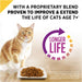 Purina Pro Plan Prime Plus Chicken & Rice Formula Senior Dry Cat Food - 038100169891