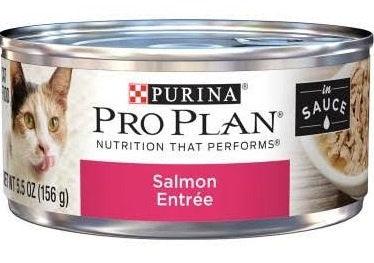 Purina Pro Plan Salmon Entree in Sauce Canned Cat Food - 00038100175359