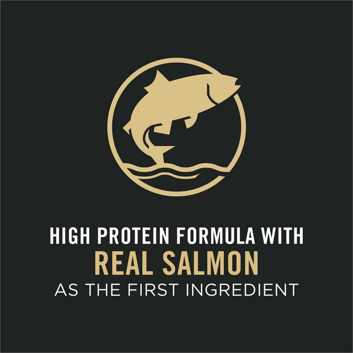Purina Pro Plan Savor Adult Salmon & Rice Formula Dry Cat Food - 038100131201