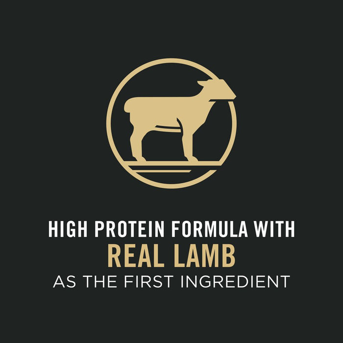 Purina Pro Plan Sensitive Skin & Stomach Lamb & Oat Meal Sensitive Stomach Dry Puppy Food - 038100187680