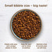Rachael Ray Nutrish Natural Chicken & Brown Rice Recipe Dry Cat Food - 071190006981