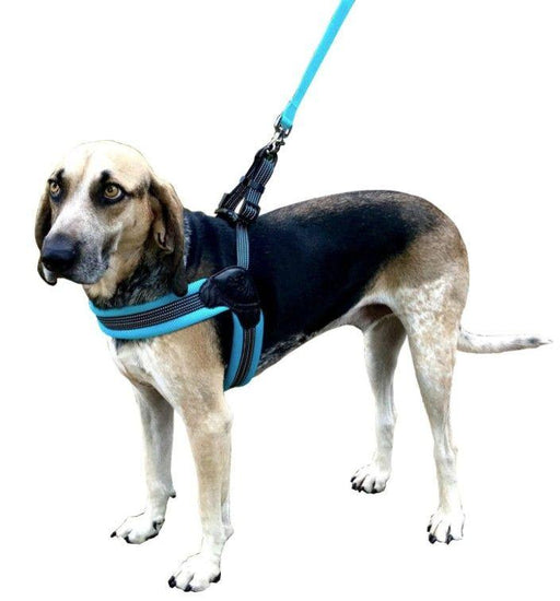 Sporn Easy Fit Dog Harness Blue - 708443200673