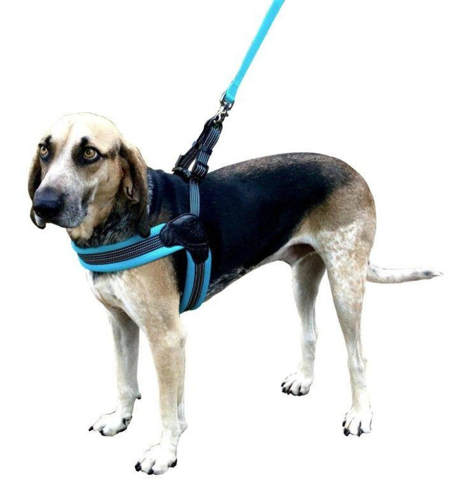 Sporn Easy Fit Dog Harness Blue - 708443200680