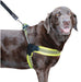 Sporn Easy Fit Dog Harness Yellow - 708443200628