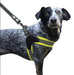Sporn Easy Fit Dog Harness Yellow - 708443200611