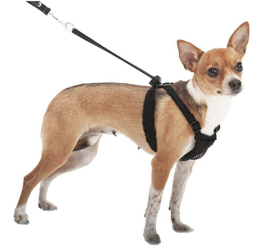 Sporn Non Pull Mesh Harness for Dogs - Black - 708443312710
