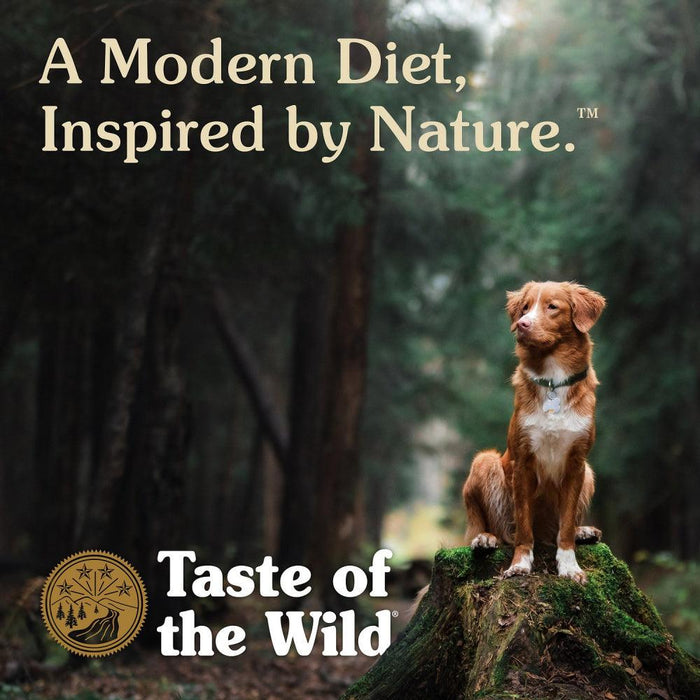Taste of the Wild Ancient Stream with Ancient Grains Dry Dog Food - 074198614509
