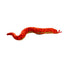 Tuffy Desert Snake Red - 180181908873