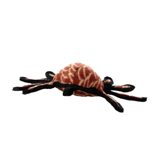 Tuffy Desert Spider - 180181903755